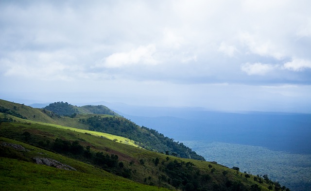 健康的身体 健康的身体
