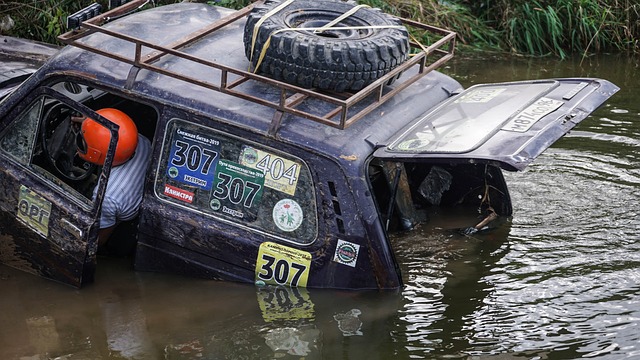 本場滄州雄 本場滄州雄