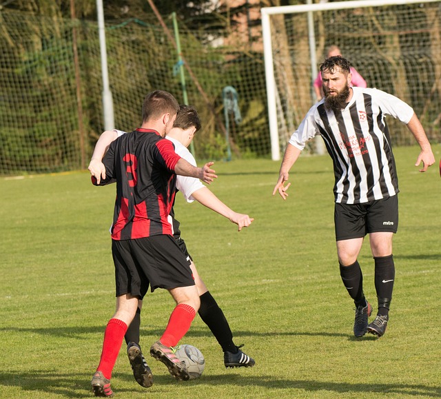 但它并不是 但它并不是