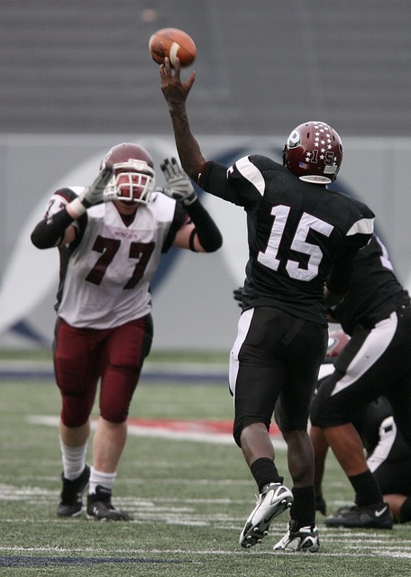 他们的经历 他们的经历