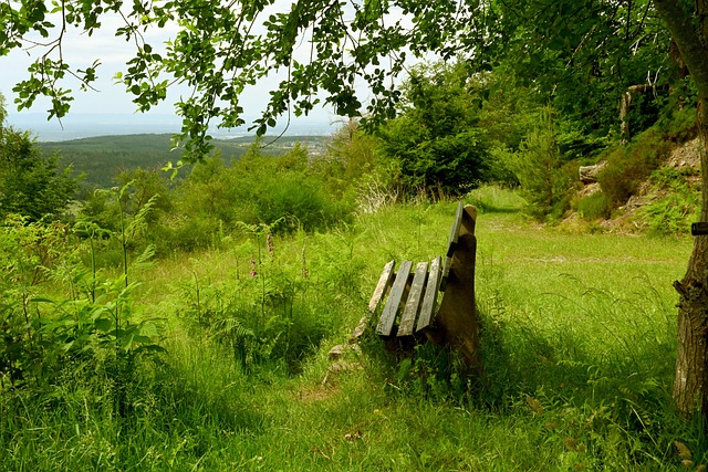 保羅曾在公 保羅曾在公