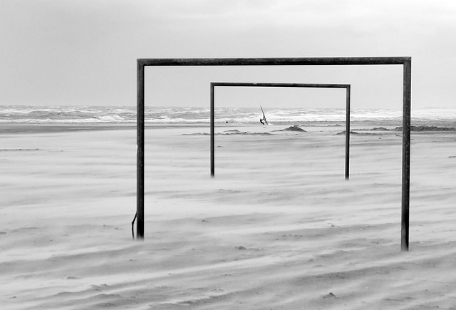 迅速恢复竞 迅速恢复竞