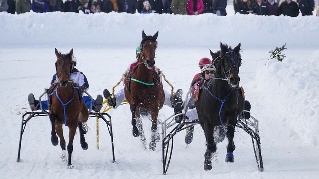球员的心理 球员的心理