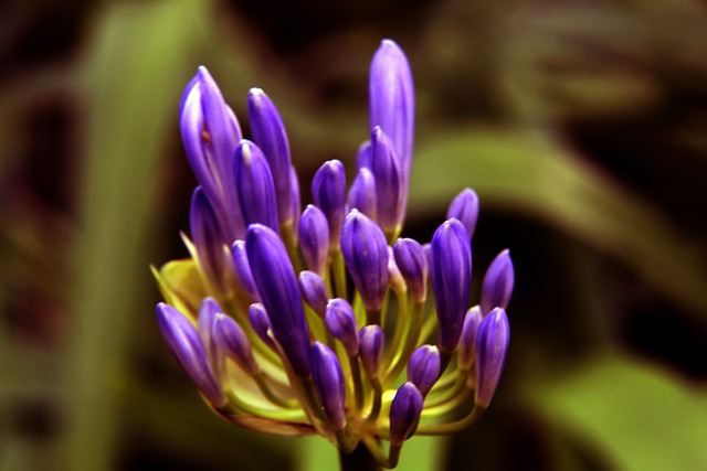 穿上它就难 穿上它就难