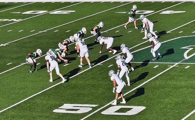 我国凭借 我国凭借