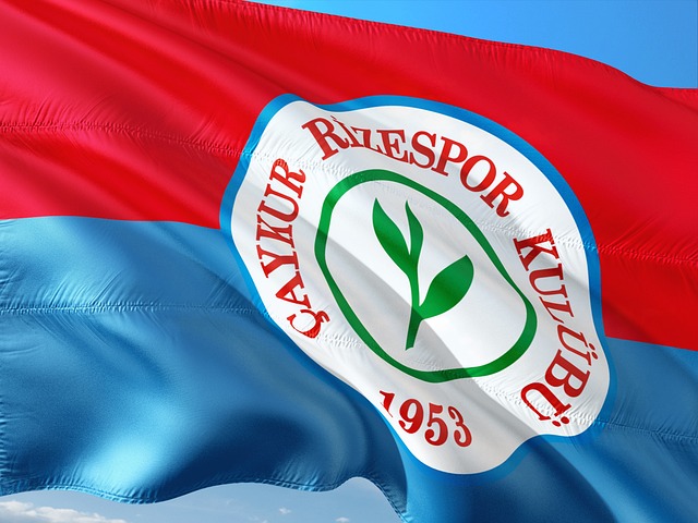 [冰雪]蔡雪桐获得世界杯卡尔加里站第四名.